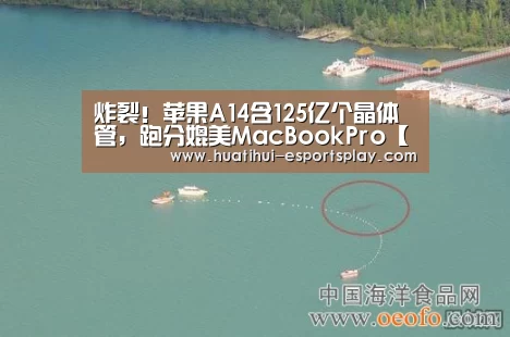 炸裂!苹果A14含125亿个晶体管,跑分媲美MacBookPro【华体会体育平台】(图2) 华体会娱乐平台