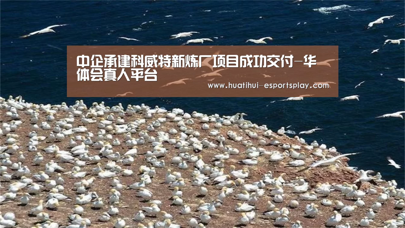 中企承建科威特新炼厂项目成功交付-华体会真人平台(图1) 华体会体育平台