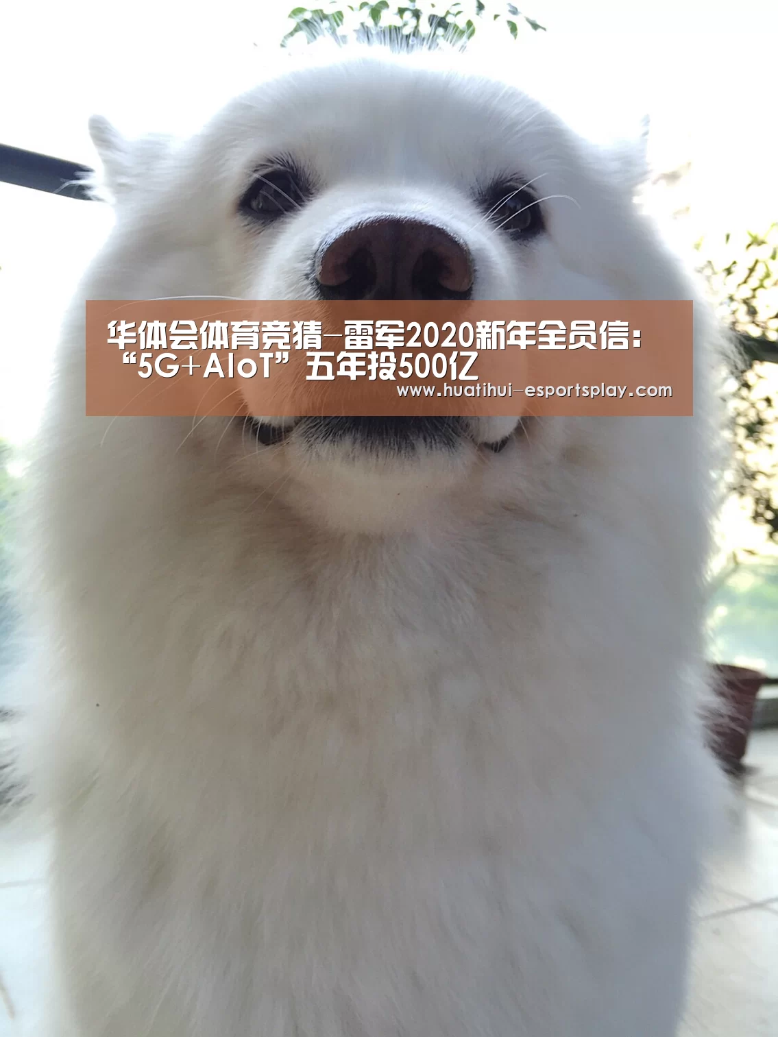 华体会体育竞猜-雷军2020新年全员信:“5G+AIoT”五年投500亿(图3) 华体会体育竞猜