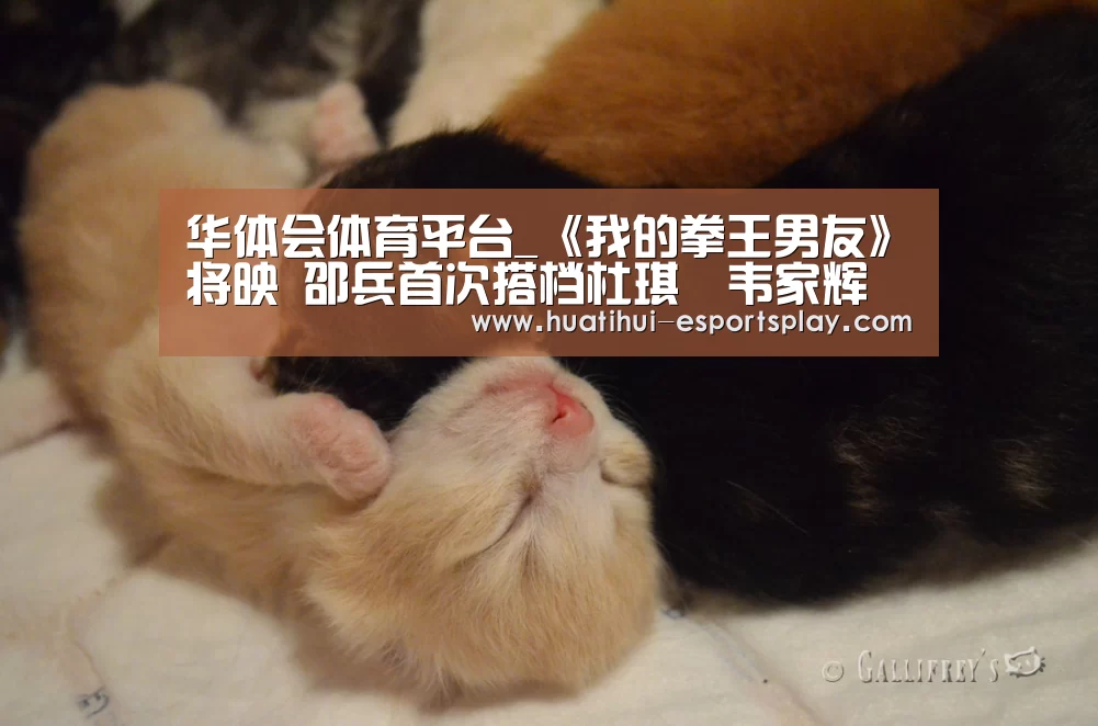 华体会娱乐平台