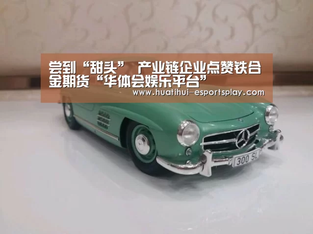 尝到“甜头” 产业链企业点赞铁合金期货“华体会娱乐平台”(图3) 华体会体育竞猜
